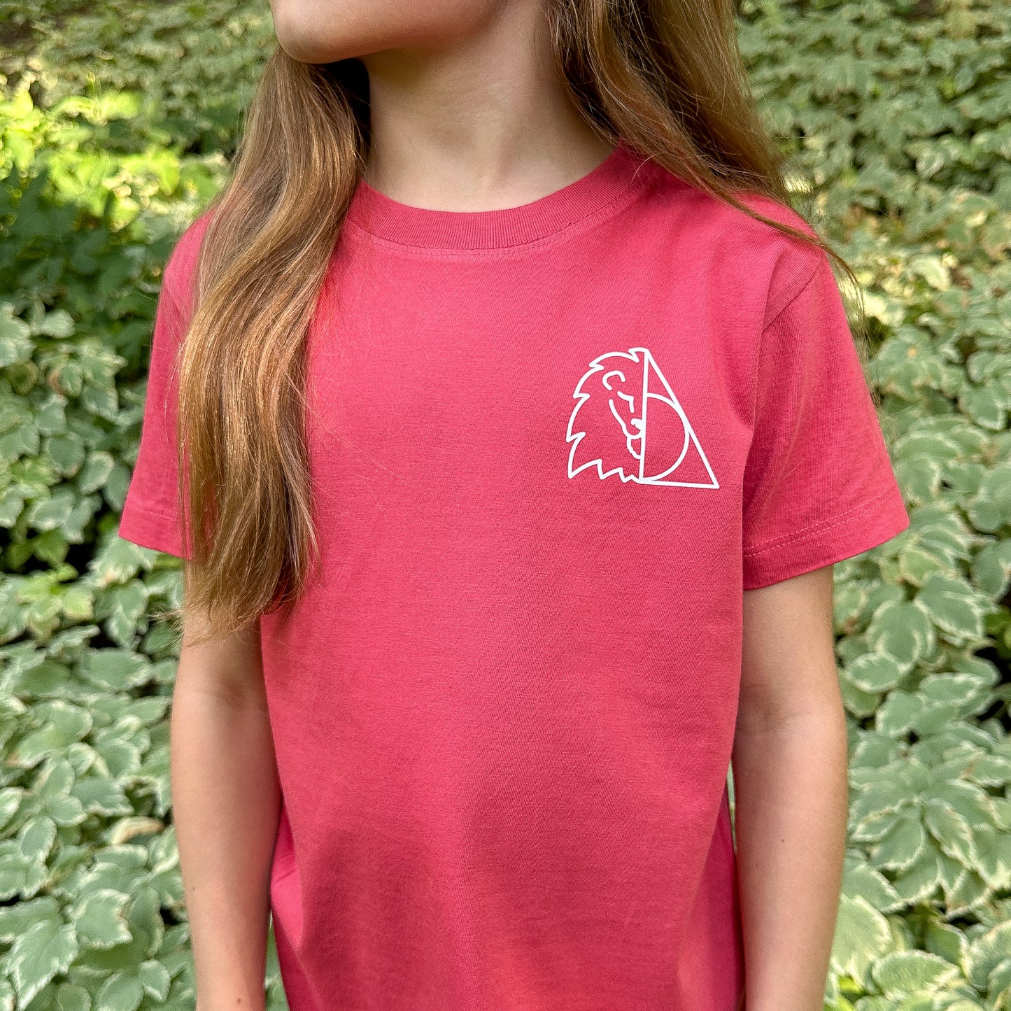 Gryffindor Hallows House T-Shirt