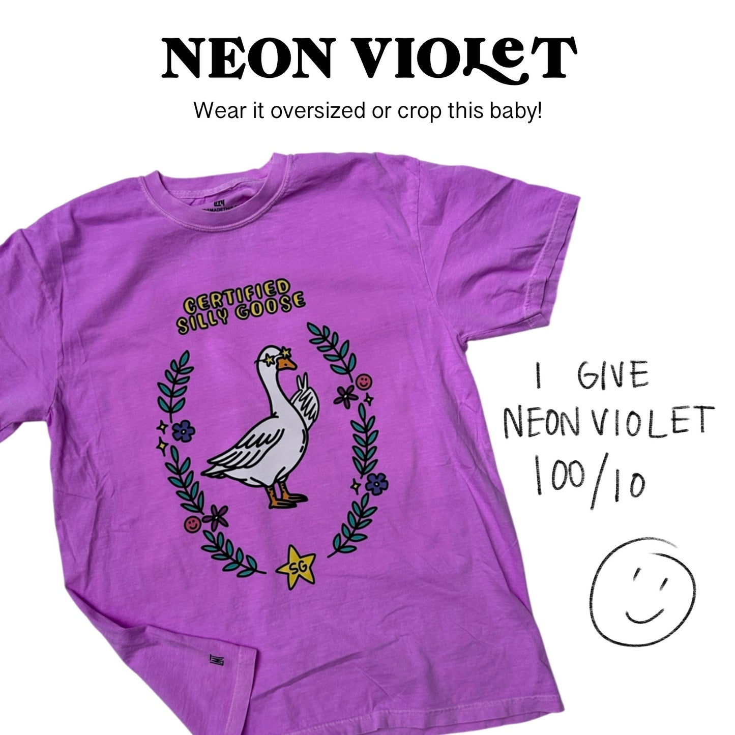 Silly Goose T-Shirt