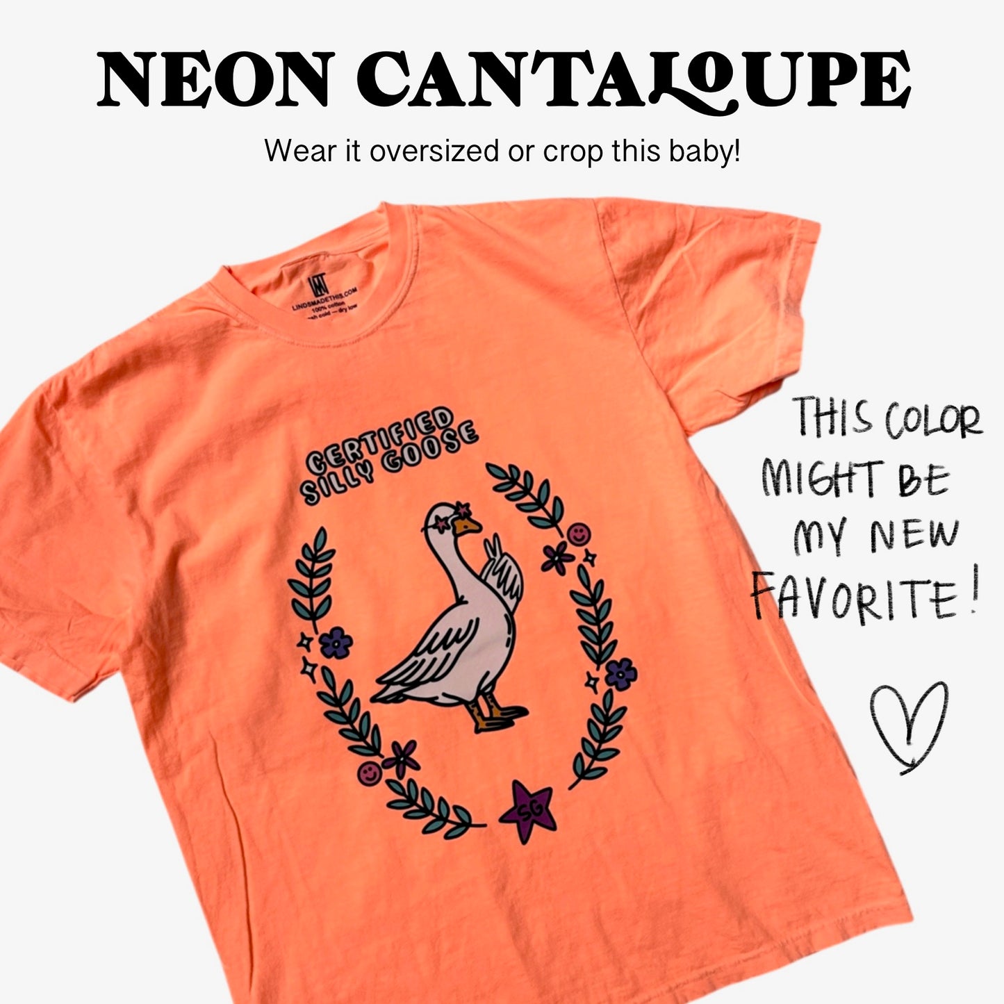 Silly Goose T-Shirt