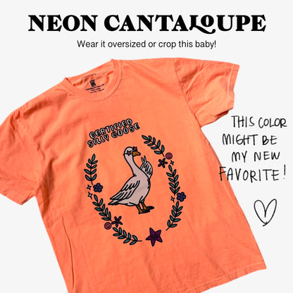 Silly Goose T-Shirt